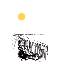 Philippe Dufour-loriolle