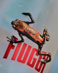 ACQUA FIUGGI : LOVED BY VOGUE