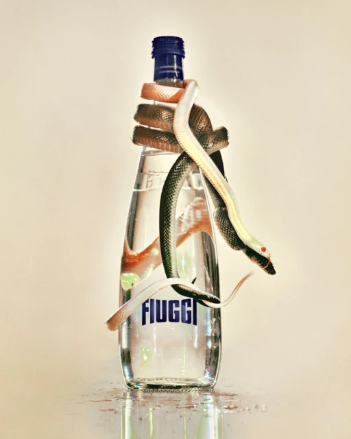 ACQUA FIUGGI : LOVED BY VOGUE