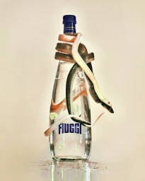 ACQUA FIUGGI : LOVED BY VOGUE