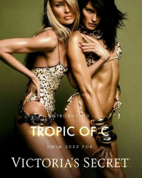Tropic of C X Victoria's Secret