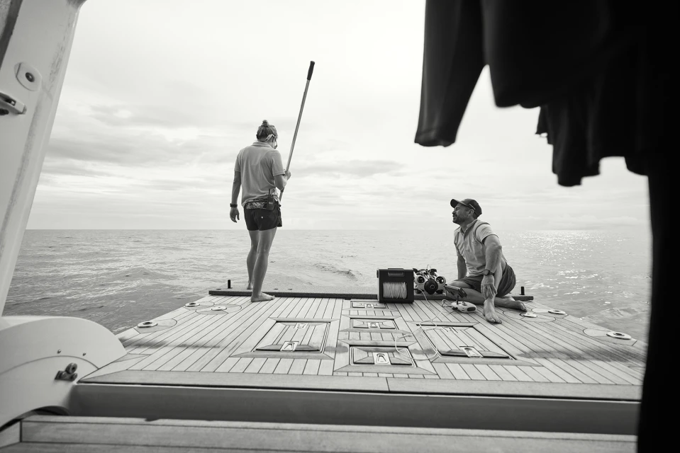 Citizens Of The Reef