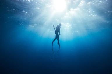 Citizens Of The Reef