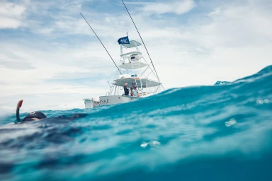 Citizens Of The Reef