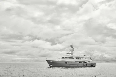 Citizens Of The Reef