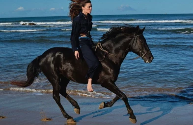 Le Meilleur Des Deux Mondes