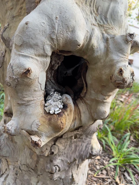 Spring/Summer 2025 Jewels Collection