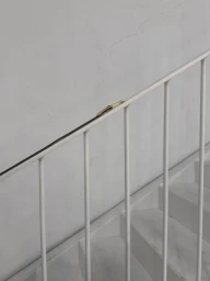 Spring/Summer 2025 Jewels Collection