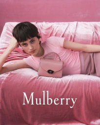 Mulberry T2 Campaign
