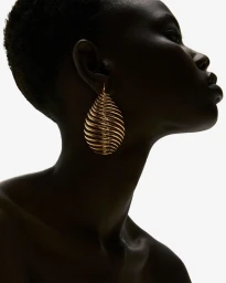 Fernando Jorge Campaign 2024