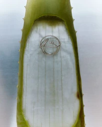 CHRSTNS Jewellery Campaign