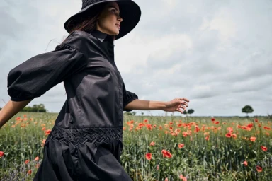 Armargentum Campaign