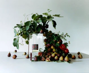 LBTY Perfume 2024 Campaign