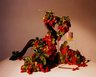 LBTY Perfume 2024 Campaign