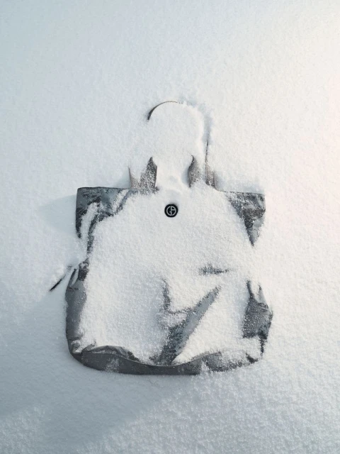 Giorgio Armani Neve 2024 Campaign