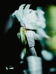 Baby Dior 2024 - Lights Up