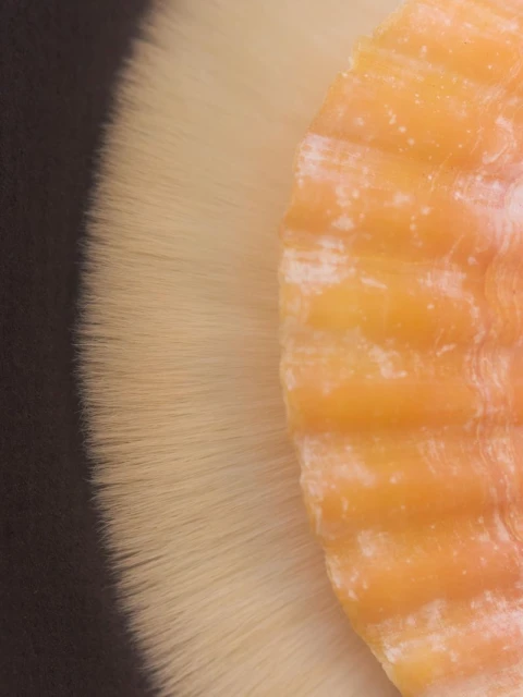 The rareness of life