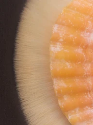 The rareness of life