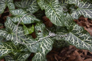 Photography Priscilia Saada