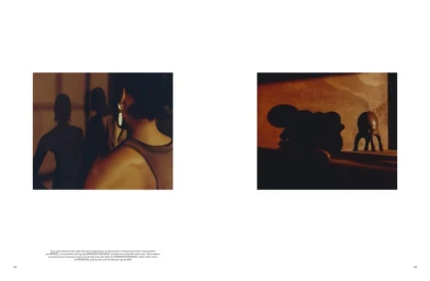 Sunlight Bathed The Golden Glow (And Felt)