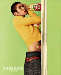 내게 무해한 것들