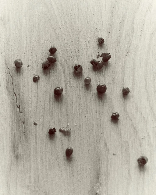 Veronique Branquinho: Pasteis de Bacalhau à Portuguesa