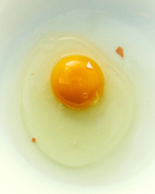 Veronique Branquinho: Pasteis de Bacalhau à Portuguesa