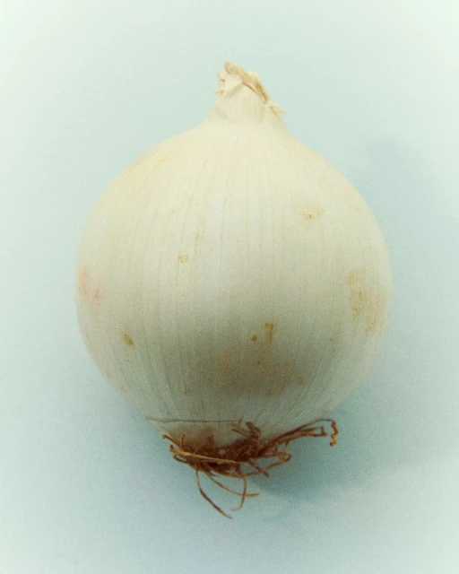 Veronique Branquinho: Pasteis de Bacalhau à Portuguesa