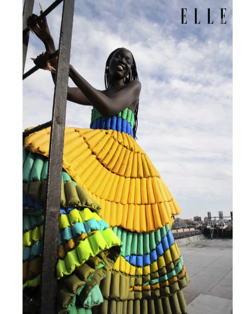 THE ENIGMATIC DREAMER