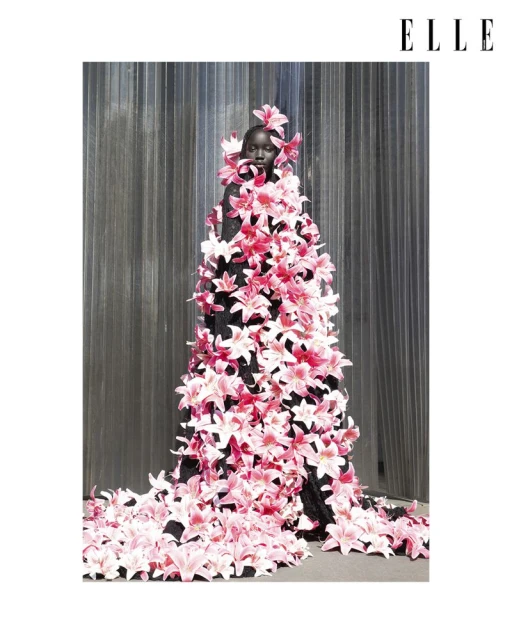 THE ENIGMATIC DREAMER