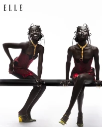 THE ENIGMATIC DREAMER