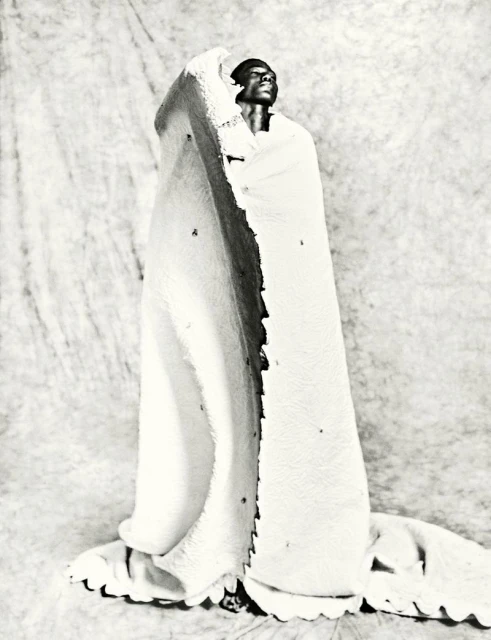 AMAZING / Collections