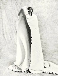 AMAZING / Collections