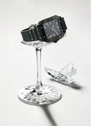 This is Why We Can't Have Nice Things