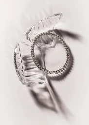 This is Why We Can't Have Nice Things