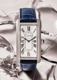 This is Why We Can't Have Nice Things