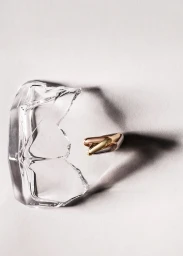 This is Why We Can't Have Nice Things