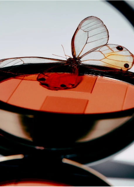 Household Essentials