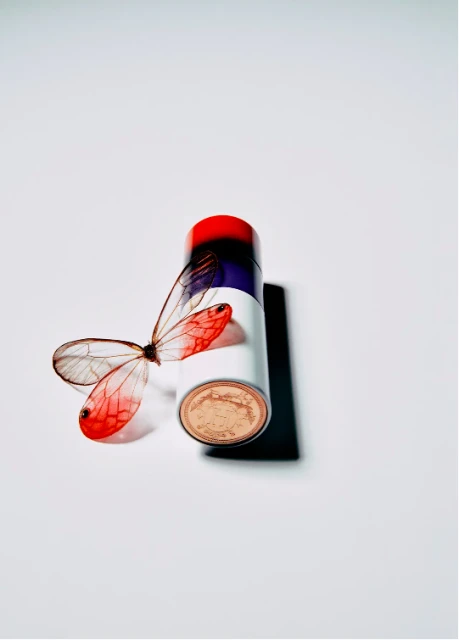 Household Essentials