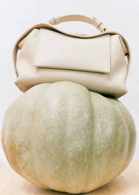 Resort Collection '24