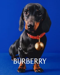 Burberry Festive Gifting Campaign