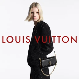 Louis Vuitton Handbag Collection