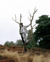 SSENSE X BOTTEGA VENETA