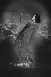 phoenix bloom/ Amor Gariboviç fw'24/25