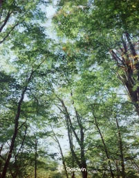 Goldwin SS25 Performance Campaign