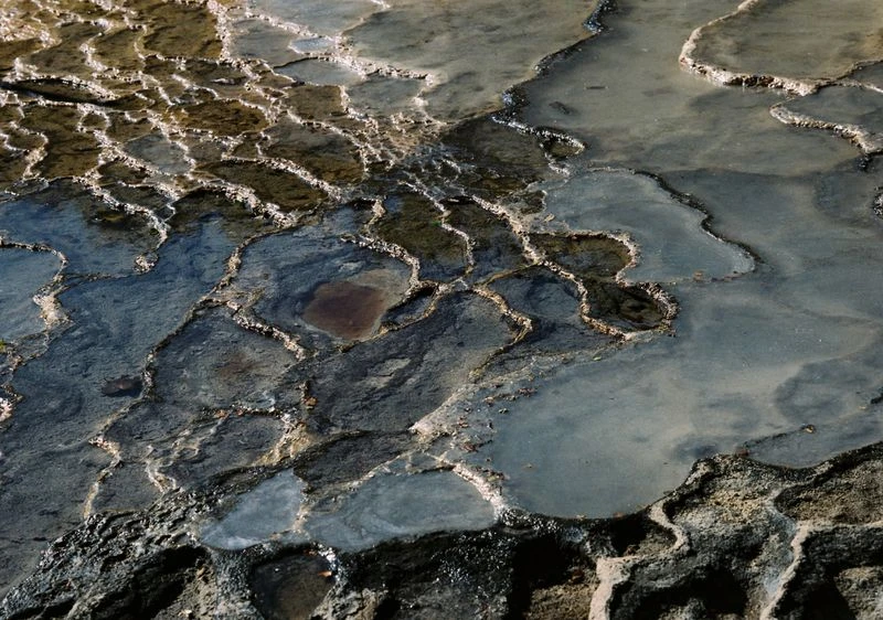 People I met in Mexico series