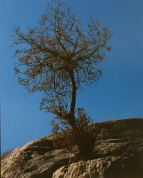 People I met in Mexico series