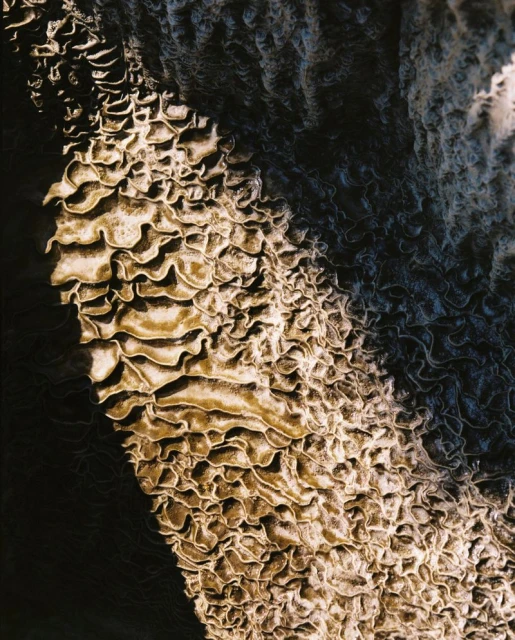 People I met in Mexico series