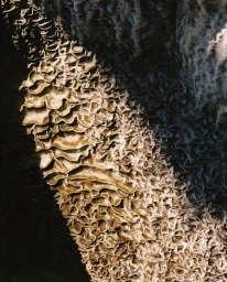 People I met in Mexico series