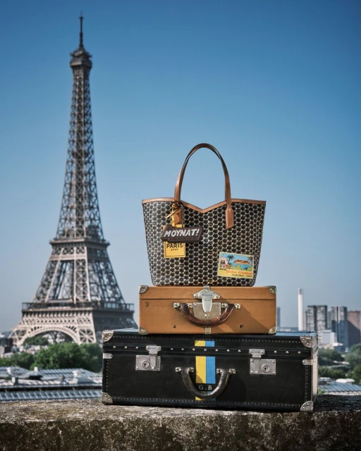 Moynat 34M collection